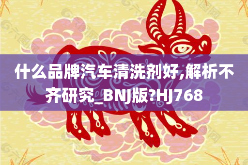 什么品牌汽车清洗剂好,解析不齐研究_BNJ版?HJ768