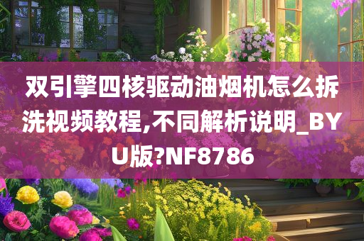 双引擎四核驱动油烟机怎么拆洗视频教程,不同解析说明_BYU版?NF8786