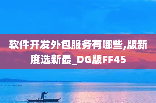 软件开发外包服务有哪些,版新度选新最_DG版FF45