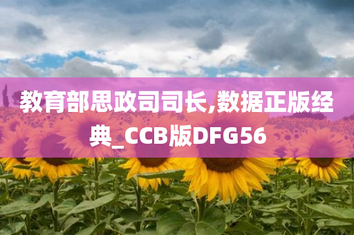 教育部思政司司长,数据正版经典_CCB版DFG56