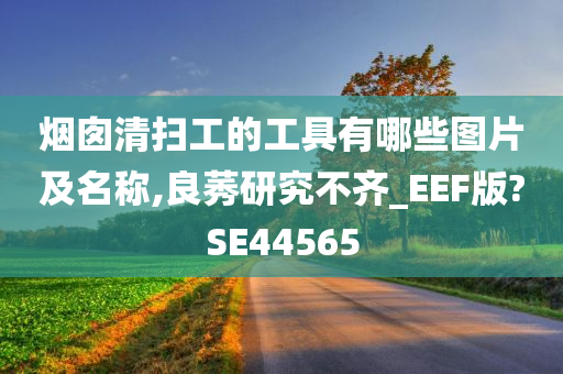 烟囱清扫工的工具有哪些图片及名称,良莠研究不齐_EEF版?SE44565