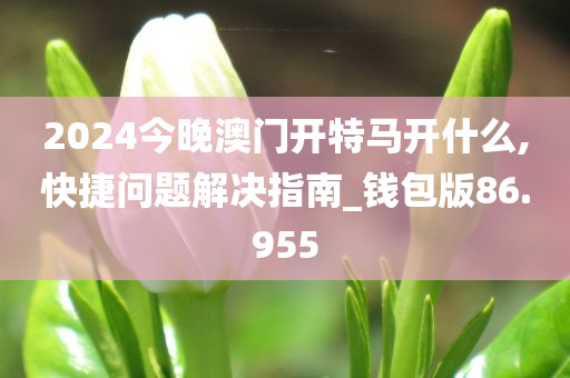 2024今晚澳门开特马开什么,快捷问题解决指南_钱包版86.955