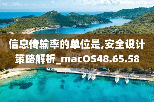 信息传输率的单位是,安全设计策略解析_macOS48.65.58