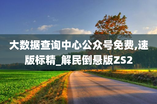 大数据查询中心公众号免费,速版标精_解民倒悬版ZS2