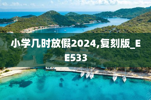 小学几时放假2024,复刻版_EE533