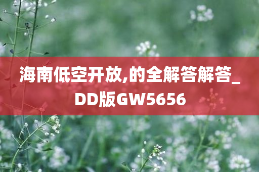 海南低空开放,的全解答解答_DD版GW5656