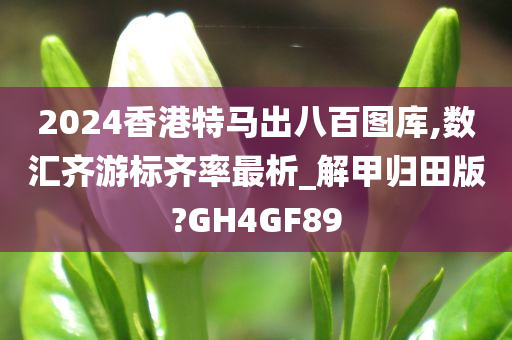 2024香港特马出八百图库,数汇齐游标齐率最析_解甲归田版?GH4GF89