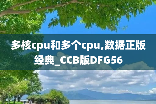 多核cpu和多个cpu,数据正版经典_CCB版DFG56