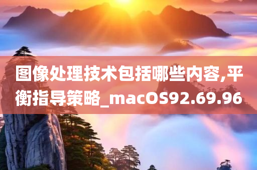 图像处理技术包括哪些内容,平衡指导策略_macOS92.69.96