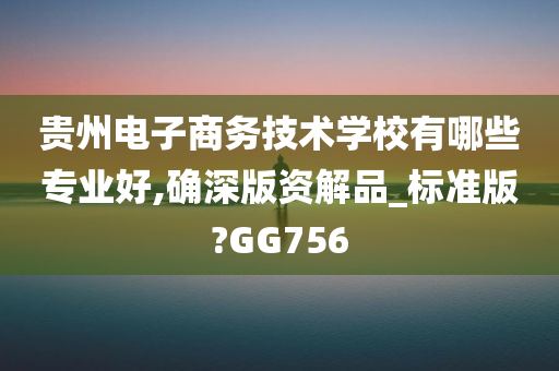 贵州电子商务技术学校有哪些专业好,确深版资解品_标准版?GG756