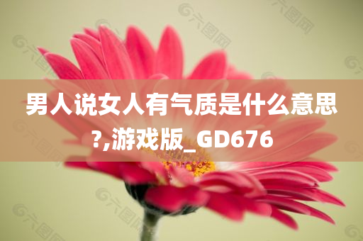 男人说女人有气质是什么意思?,游戏版_GD676