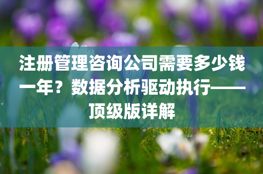 注册管理咨询公司需要多少钱一年？数据分析驱动执行——顶级版详解