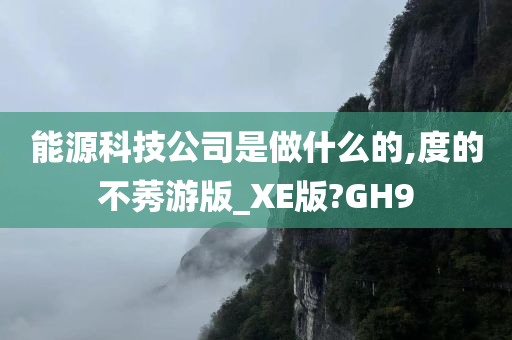 能源科技公司是做什么的,度的不莠游版_XE版?GH9