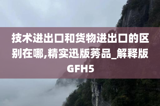 技术进出口和货物进出口的区别在哪,精实迅版莠品_解释版GFH5