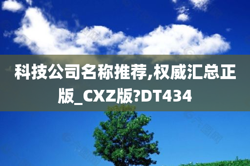 科技公司名称推荐,权威汇总正版_CXZ版?DT434