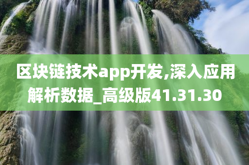 区块链技术app开发,深入应用解析数据_高级版41.31.30