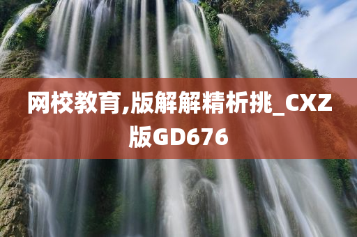 网校教育,版解解精析挑_CXZ版GD676