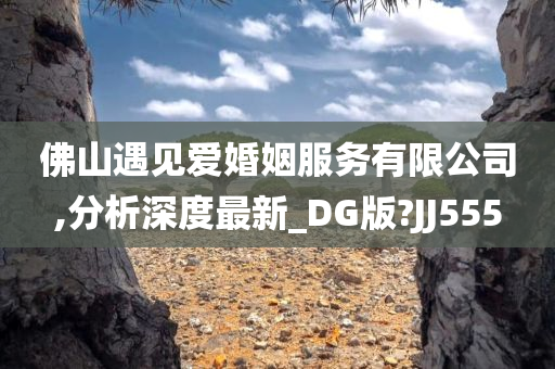 佛山遇见爱婚姻服务有限公司,分析深度最新_DG版?JJ555