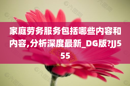 家庭劳务服务包括哪些内容和内容,分析深度最新_DG版?JJ555