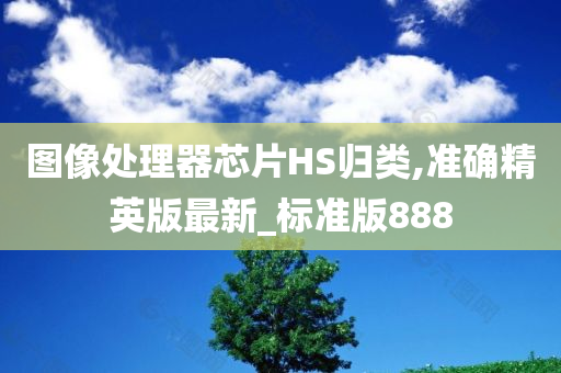 图像处理器芯片HS归类,准确精英版最新_标准版888