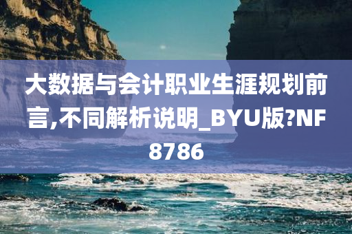 大数据与会计职业生涯规划前言,不同解析说明_BYU版?NF8786