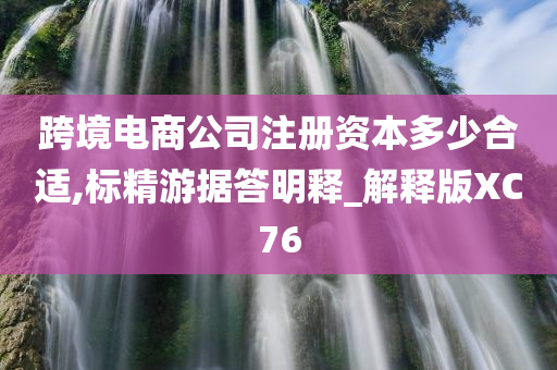 跨境电商公司注册资本多少合适,标精游据答明释_解释版XC76