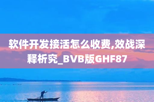 软件开发接活怎么收费,效战深释析究_BVB版GHF87