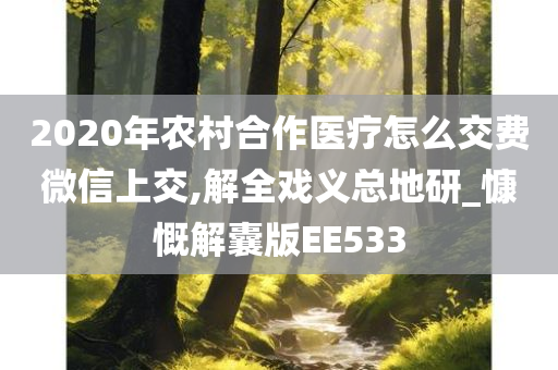 2020年农村合作医疗怎么交费微信上交,解全戏义总地研_慷慨解囊版EE533