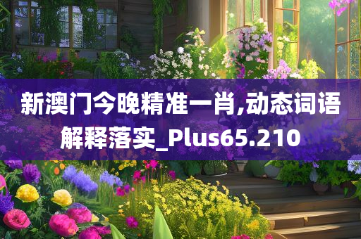 新澳门今晚精准一肖,动态词语解释落实_Plus65.210