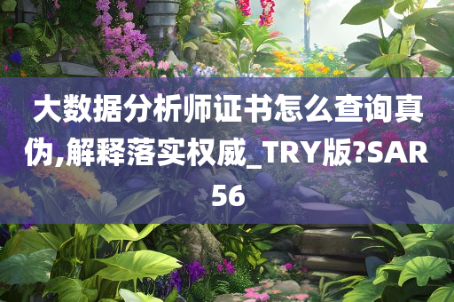 大数据分析师证书怎么查询真伪,解释落实权威_TRY版?SAR56