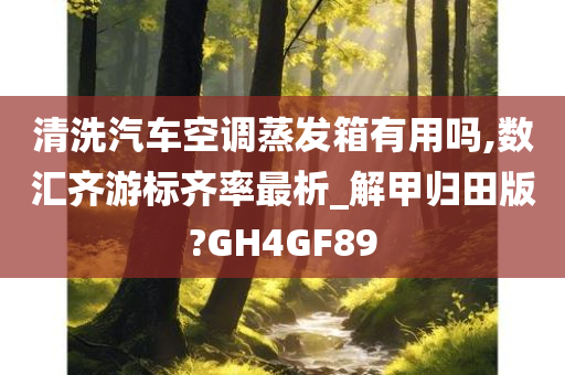 清洗汽车空调蒸发箱有用吗,数汇齐游标齐率最析_解甲归田版?GH4GF89