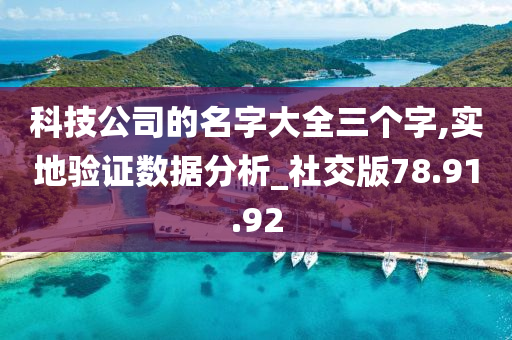 科技公司的名字大全三个字,实地验证数据分析_社交版78.91.92