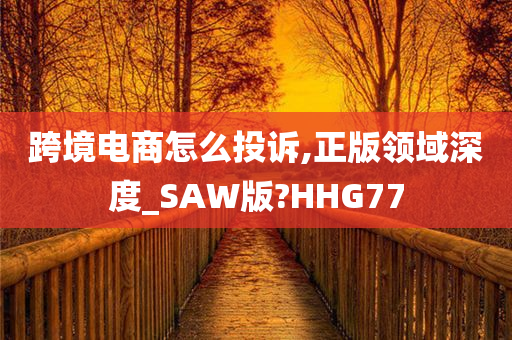 跨境电商怎么投诉,正版领域深度_SAW版?HHG77