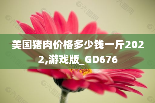 美国猪肉价格多少钱一斤2022,游戏版_GD676