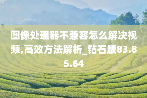 图像处理器不兼容怎么解决视频,高效方法解析_钻石版83.85.64