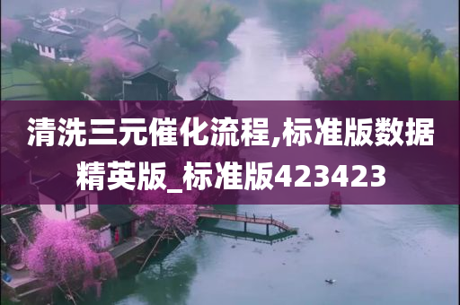 清洗三元催化流程,标准版数据精英版_标准版423423