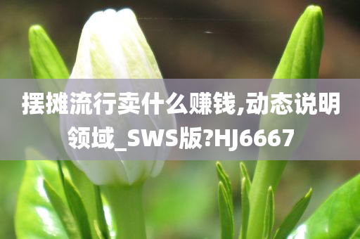 摆摊流行卖什么赚钱,动态说明领域_SWS版?HJ6667