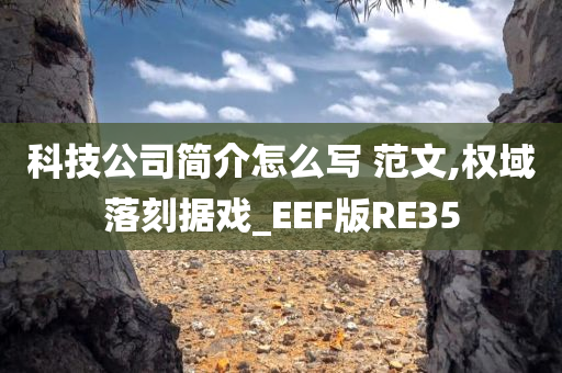 科技公司简介怎么写 范文,权域落刻据戏_EEF版RE35