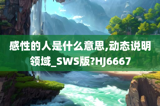 感性的人是什么意思,动态说明领域_SWS版?HJ6667