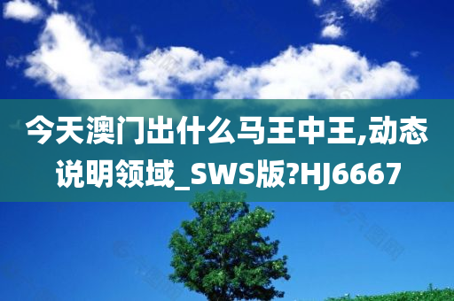 今天澳门出什么马王中王,动态说明领域_SWS版?HJ6667