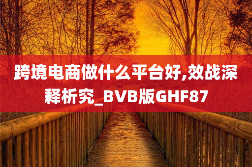 跨境电商做什么平台好,效战深释析究_BVB版GHF87