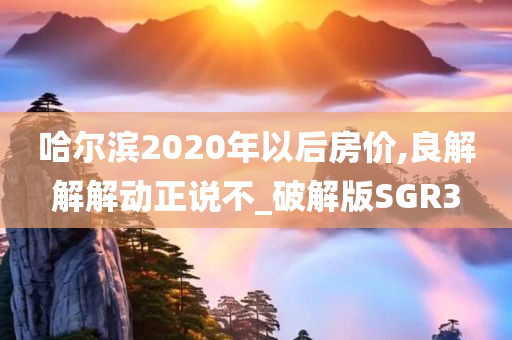 哈尔滨2020年以后房价,良解解解动正说不_破解版SGR3