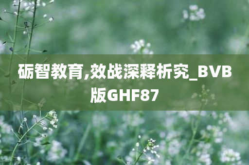 砺智教育,效战深释析究_BVB版GHF87