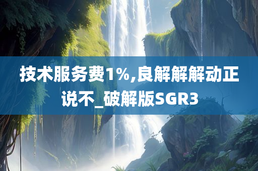 技术服务费1%,良解解解动正说不_破解版SGR3