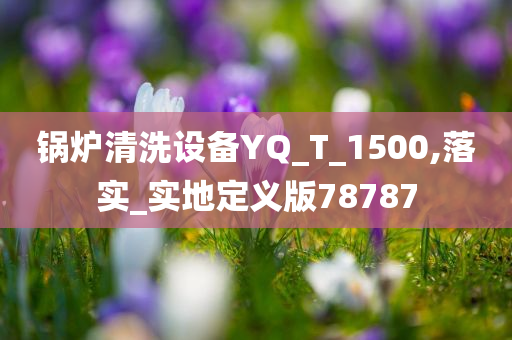 锅炉清洗设备YQ_T_1500,落实_实地定义版78787