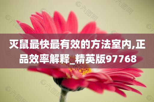 灭鼠最快最有效的方法室内,正品效率解释_精英版97768