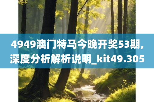 4949澳门特马今晚开奖53期,深度分析解析说明_kit49.305