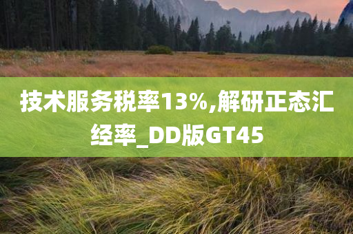 技术服务税率13%,解研正态汇经率_DD版GT45