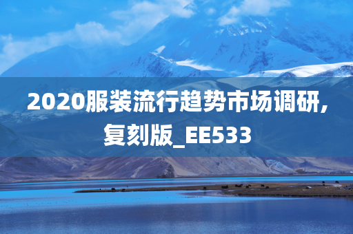 2020服装流行趋势市场调研,复刻版_EE533