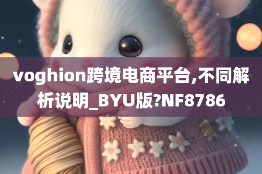 voghion跨境电商平台,不同解析说明_BYU版?NF8786